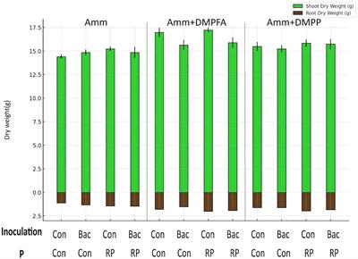 Optimizing nitrogen fertilization in maize: the impact of nitrification inhibitors, phosphorus application, and microbial interactions on enhancing nutrient efficiency and crop performance